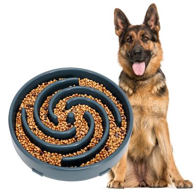 Un buen precio. Cuencos para perros de alimentación lenta para perros grandes antichoque Cuencos para perros de alimentación lenta Cuencos para perros de alimentación lenta Comida lenta para mascotas Interactivo Bloat Stop en línea