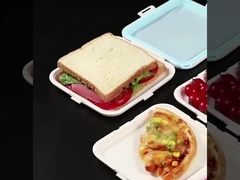 Contenedor de sándwich para la caja del almuerzo
