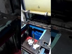 Cuerpo de lápiz de manzana